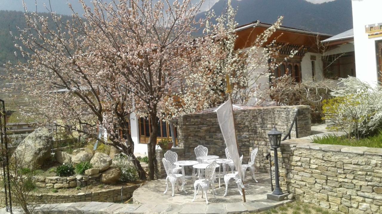 Kisa Villa 廷布 外观 照片