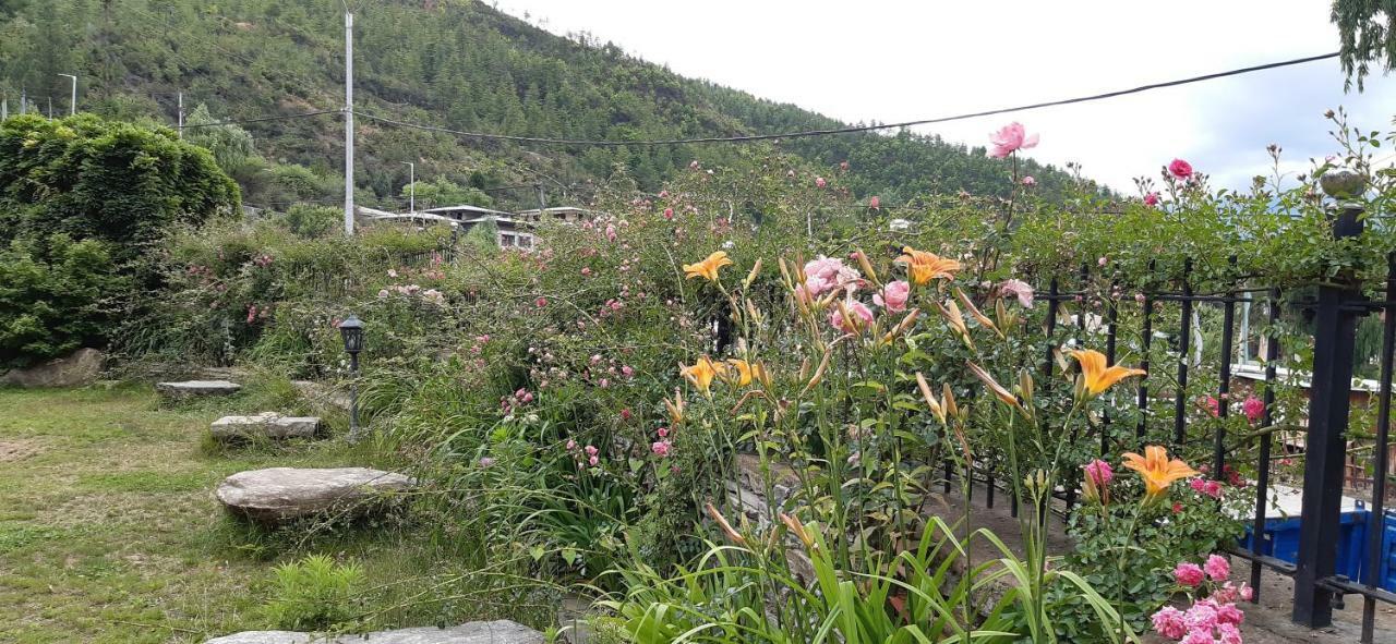 Kisa Villa 廷布 外观 照片